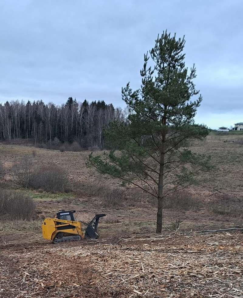 Medžių pjovimas ir genėjimas.